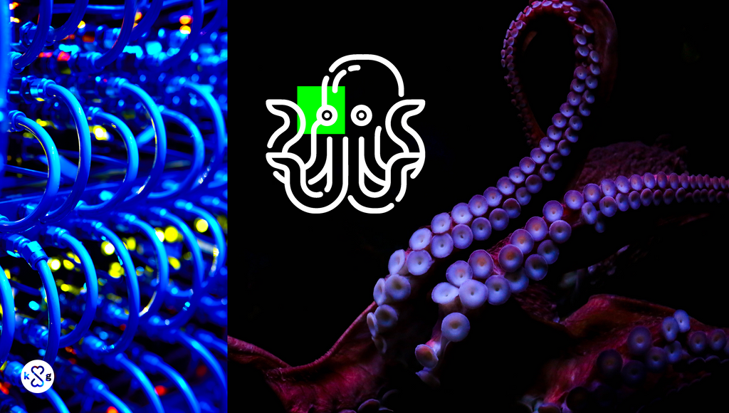 Octopus IT’ers gezocht!